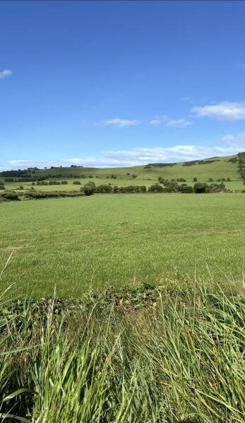 Have you ever Escaped to the Country?