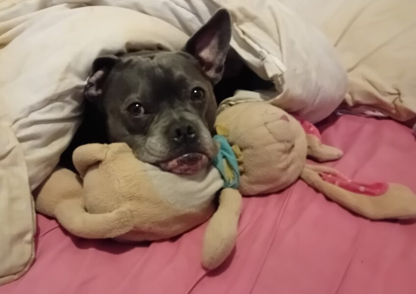 The Continuing Support Thread for Anyone Trying to Lead an Alcohol-Free Life Spring 2026