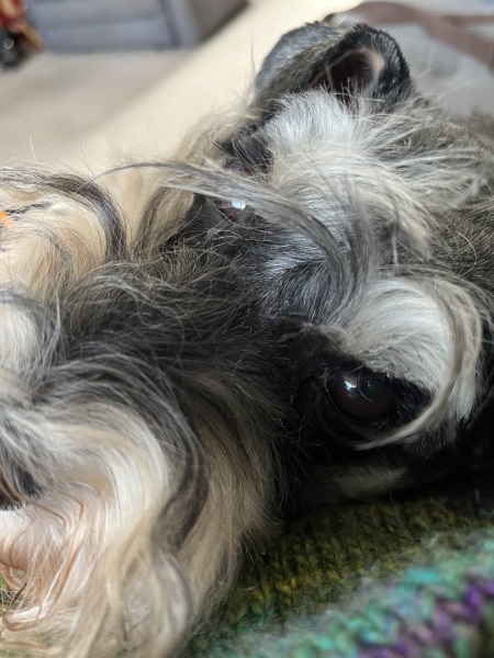 Thread 45 Starmer: Una nación que olvida su pasado no tiene futuro.