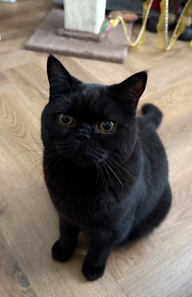 Hello from Charlie