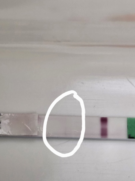 Faint line on pregnancy test: positive result or evaporation line?