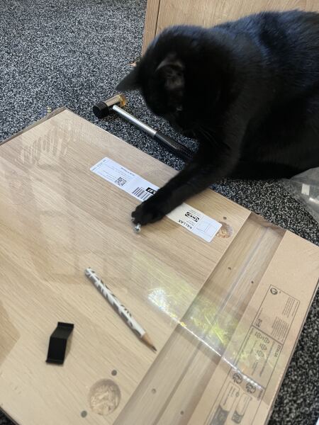 What DIY have you done today?