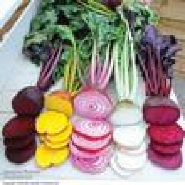 Fruit and veg growing for beginner!