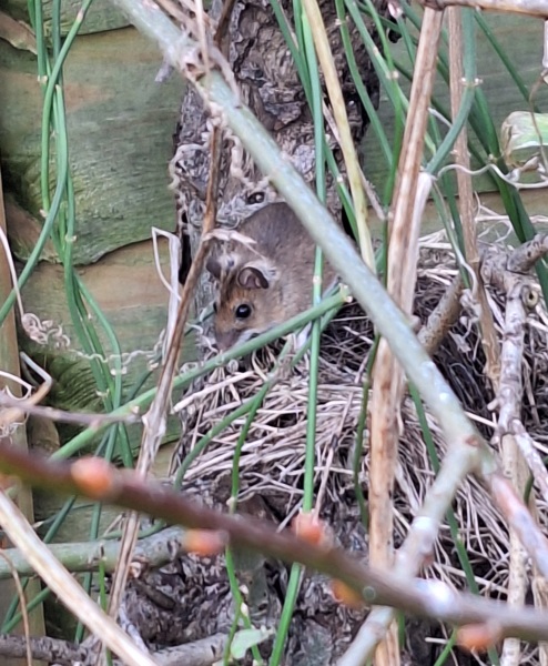 Year round Nigel Slater discussion thread - Part 3