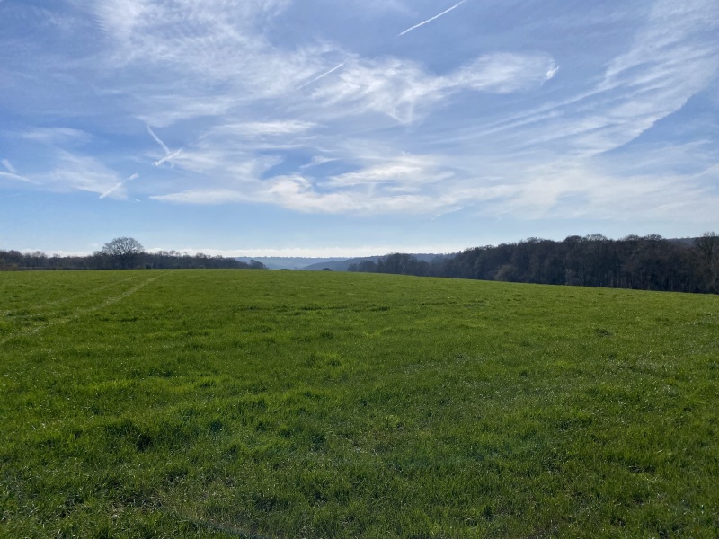 Have you ever Escaped to the Country?