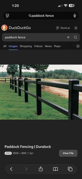 Can you help me plant some climbers ?!