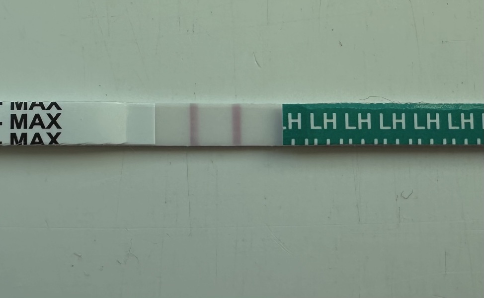 Positive OPK 9/10dpo?