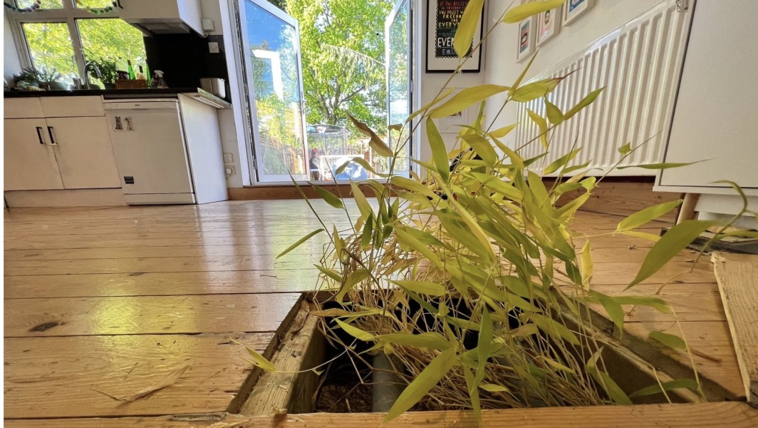 Is that the dreaded BAMBOO