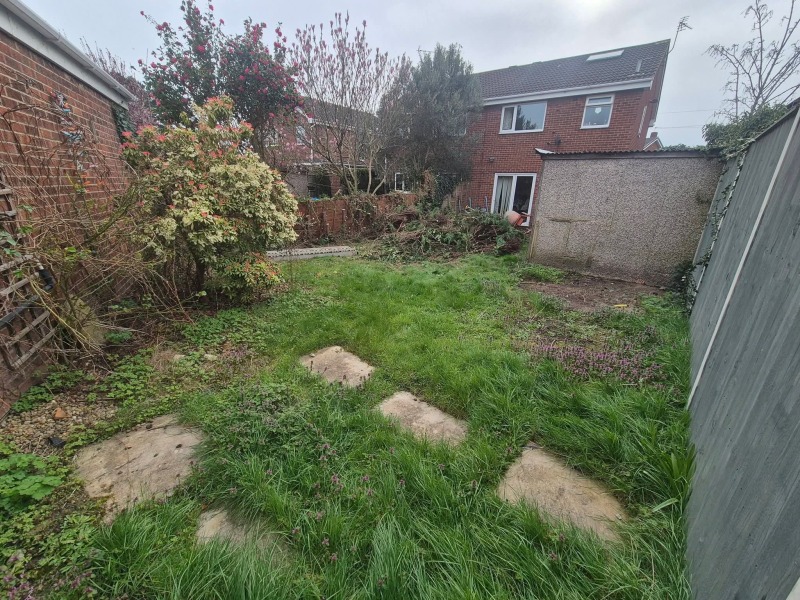 What could I plant to soften new fencing and bare borders?