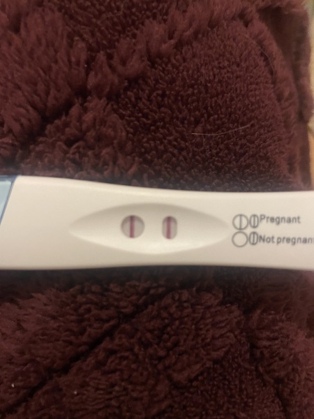 🎇 Due November 26 🎆