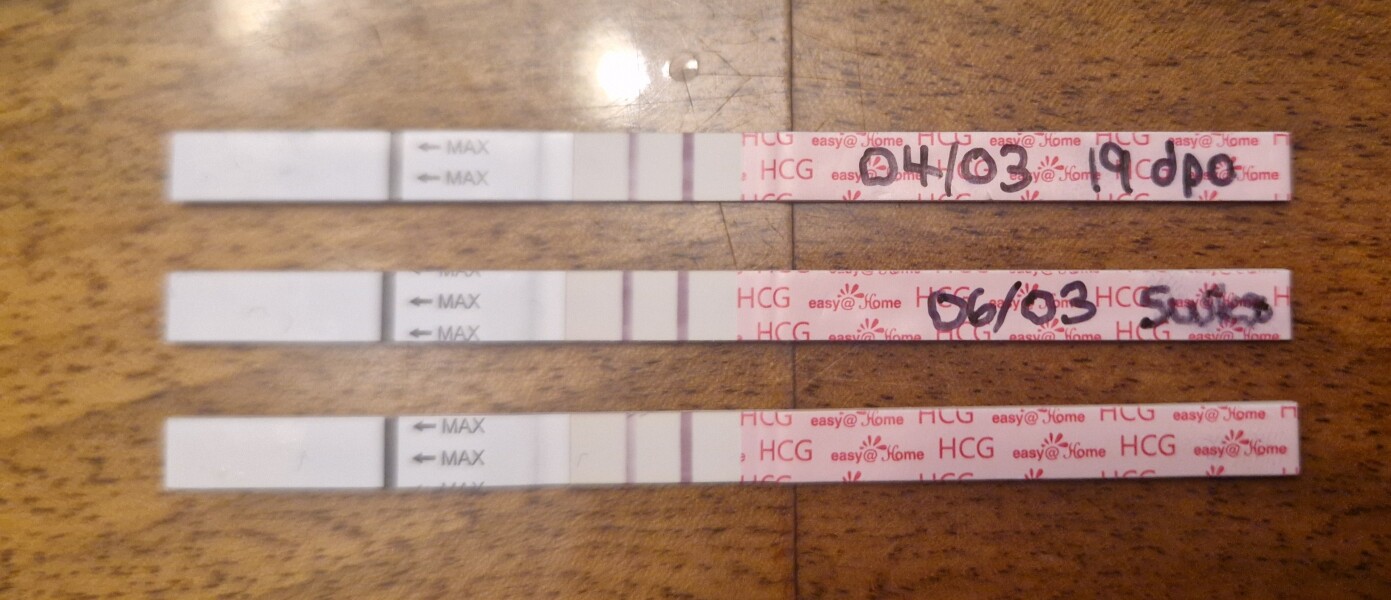 The Hopeful Hearts Circle 1  - December 2025🎄💖