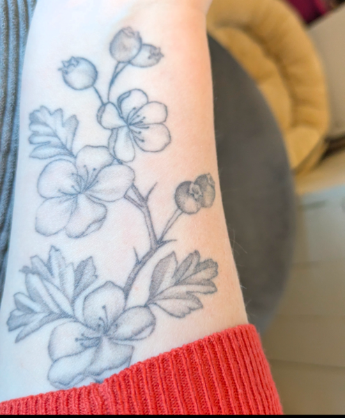 Year round Nigel Slater discussion thread - Part 3