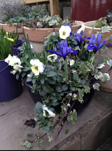 Year round Nigel Slater discussion thread - Part 3