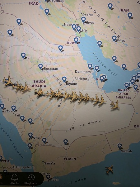 Anyone else in Dubai on holiday? AIBU to be panicking with all the flights cancelled?
