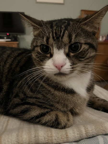 Thread 45 Starmer: Una nación que olvida su pasado no tiene futuro.