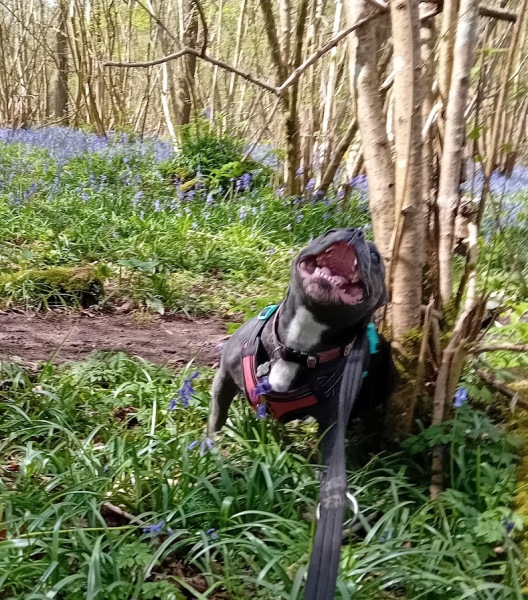 The Continuing Support Thread for Anyone Trying to Lead an Alcohol-Free Life Spring into Summer 2026