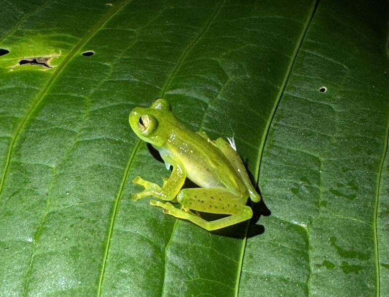 How often do you change your socks?