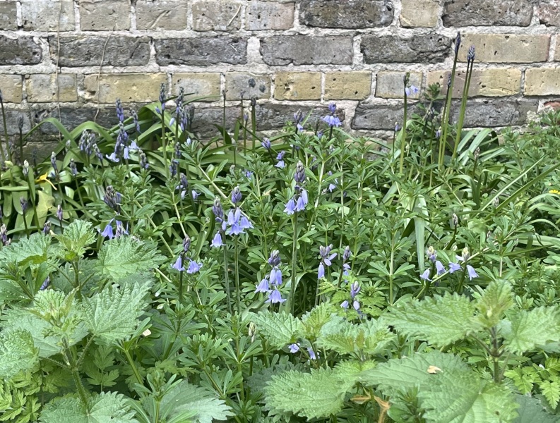 Who else thinks London is amazing in the summer?