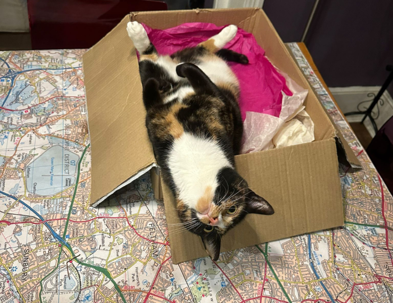 Woolly Hugs. A blanket for lovely wafflenose who has tragically lost her daughter. Can you help us please?