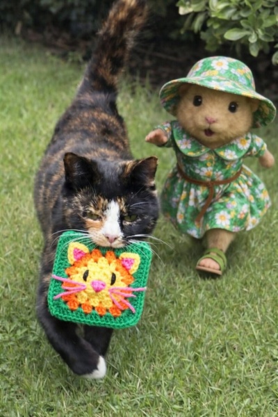 Woolly Hugs. A blanket for lovely wafflenose who has tragically lost her daughter. Can you help us please?