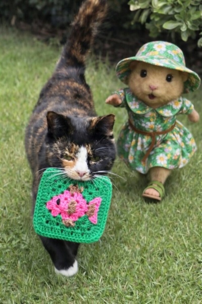 Woolly Hugs. A blanket for lovely wafflenose who has tragically lost her daughter. Can you help us please?