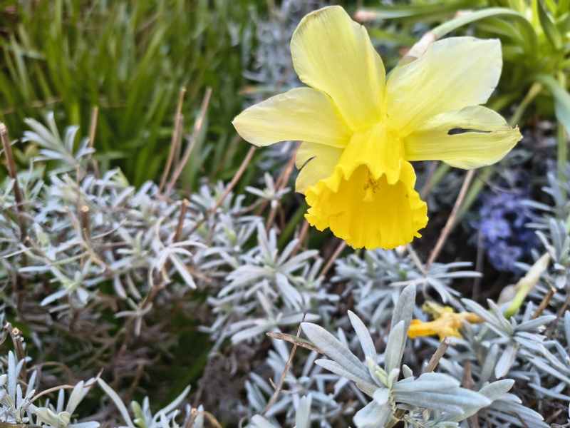 Thread 45 Starmer: Una nación que olvida su pasado no tiene futuro.