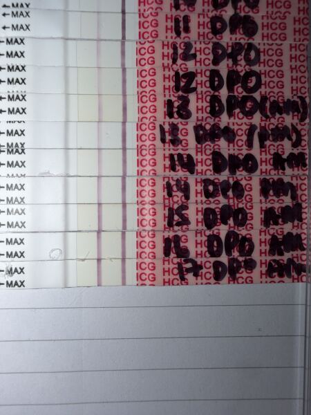 No progression 15-17dpo? Another chemical?