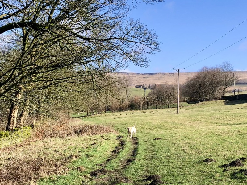 Am I being mad to consider this house?