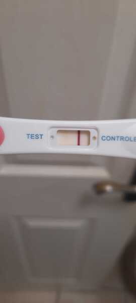 15dpo test what do you think?