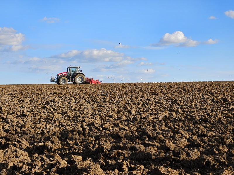 The Bluestocking  women's Pub- spring is sprunging and MN's name generator can do one!