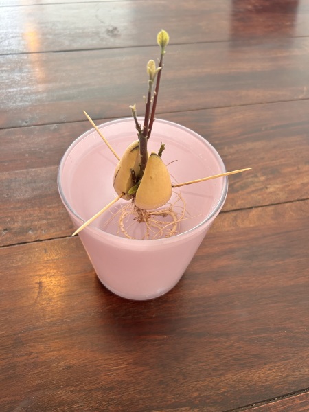 Come and tell us your dull and unexciting news 35: Calmly through the day