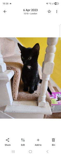 Tired of carrying my evening outfit in a bag under my desk!