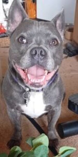 The Continuing Support Thread for Anyone Trying to Lead an Alcohol-Free Life Spring 2026