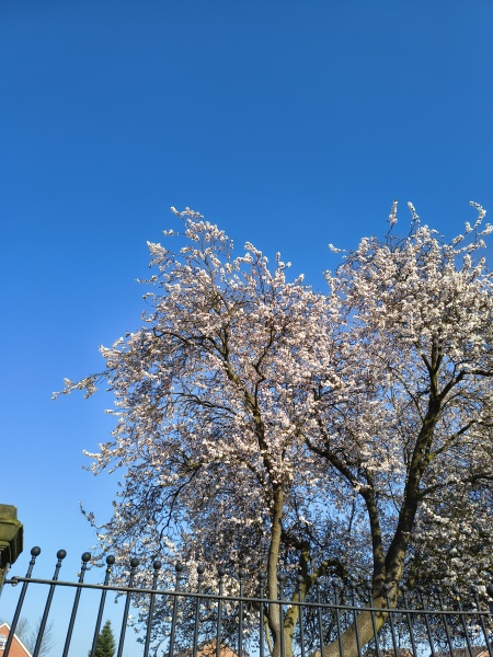 Thread 45 Starmer: Una nación que olvida su pasado no tiene futuro.