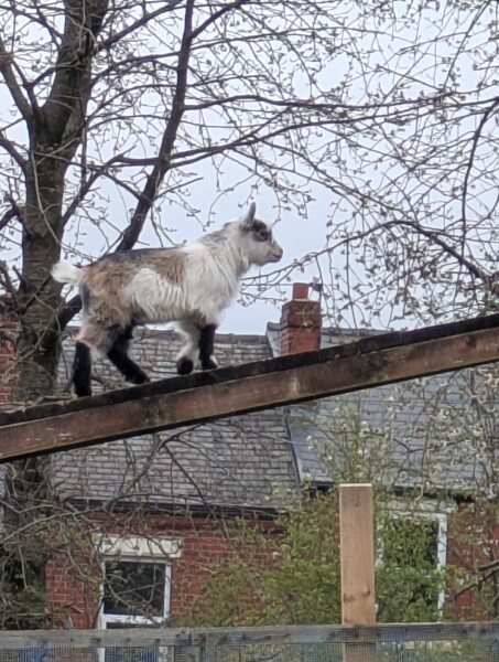Year round Nigel Slater discussion thread - Part 3