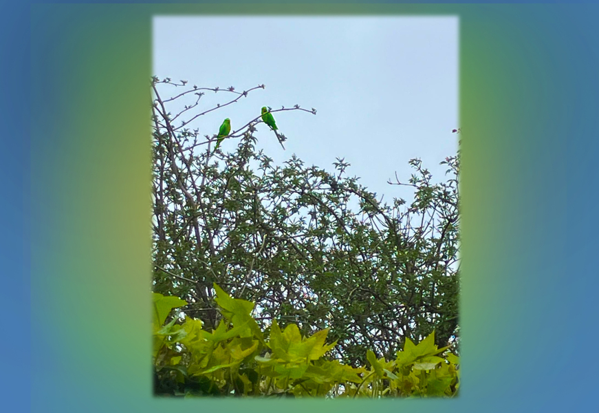 Year round Nigel Slater discussion thread - Part 3