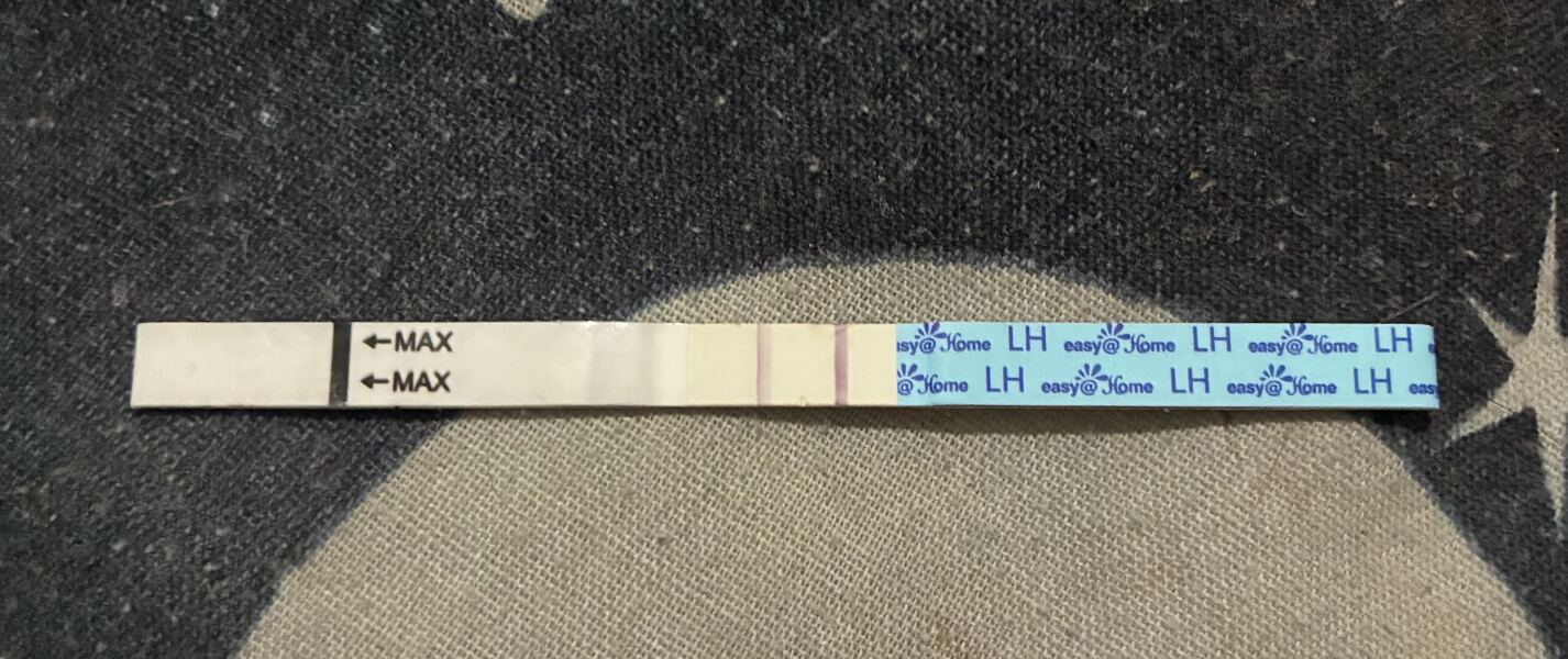 TTC March/April 2026