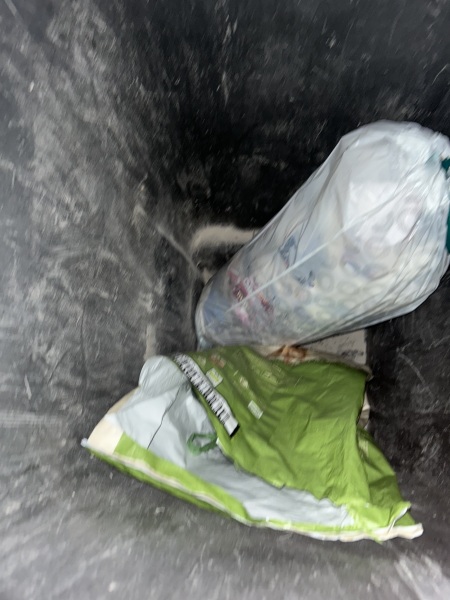 To put dog mess in a strangers bin?