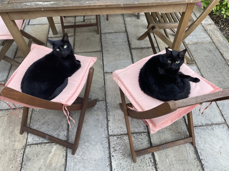 Thread 45 Starmer: Una nación que olvida su pasado no tiene futuro.