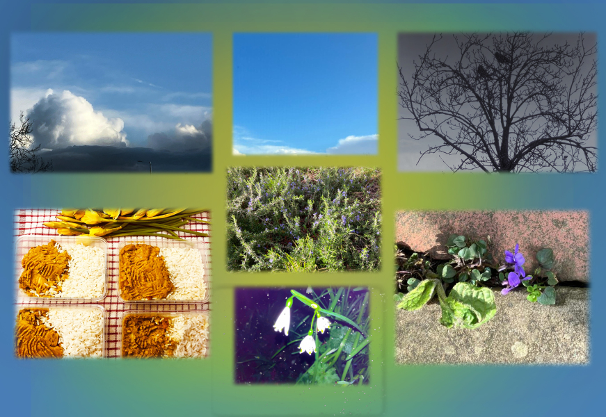 Year round Nigel Slater discussion thread - Part 3