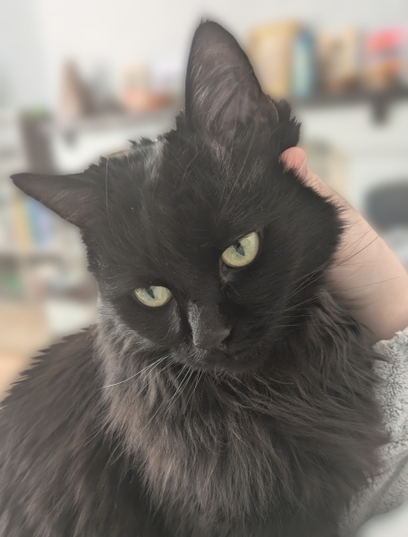 Year round Nigel Slater discussion thread - Part 3