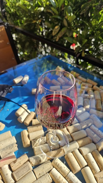 Georgia for a summer holiday - experience please!