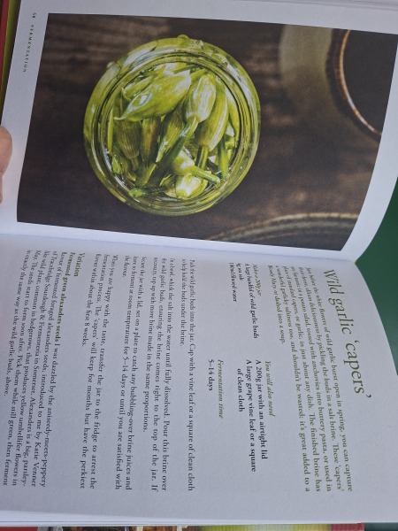 The Bluestocking Inn, cocktails and cocoa and all