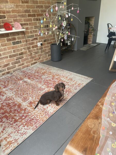 Year round Nigel Slater discussion thread - Part 3