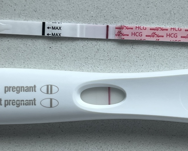 10dpo/line progression