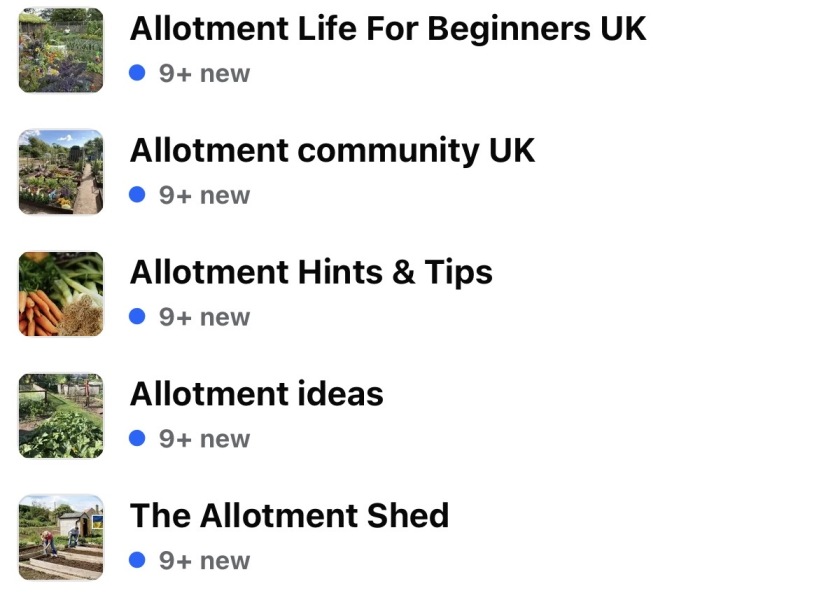 New allotment. What have I done