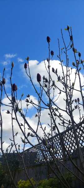 Year round Nigel Slater discussion thread - Part 3