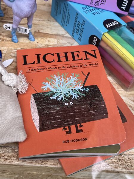 Middle class gifts for middle class children