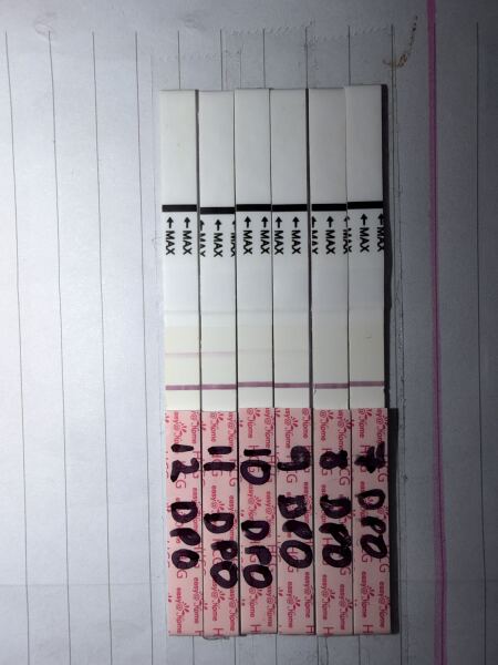 10dpo/line progression