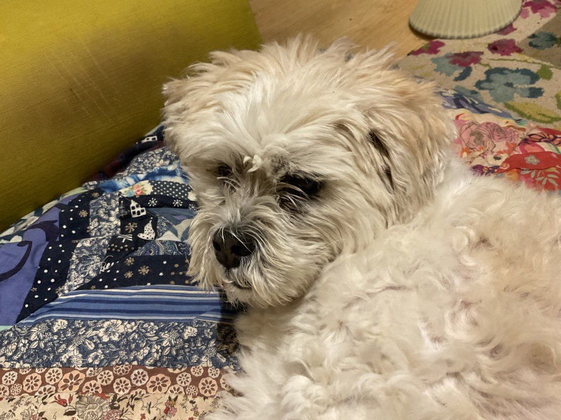 Tired of carrying my evening outfit in a bag under my desk!